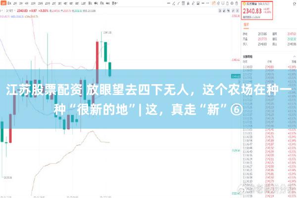 江苏股票配资 放眼望去四下无人，这个农场在种一种“很新的地”| 这，真走“新”⑥